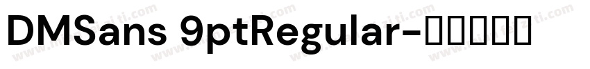 DMSans 9ptRegular字体转换